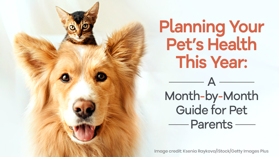 Planning Your Pet’s Health