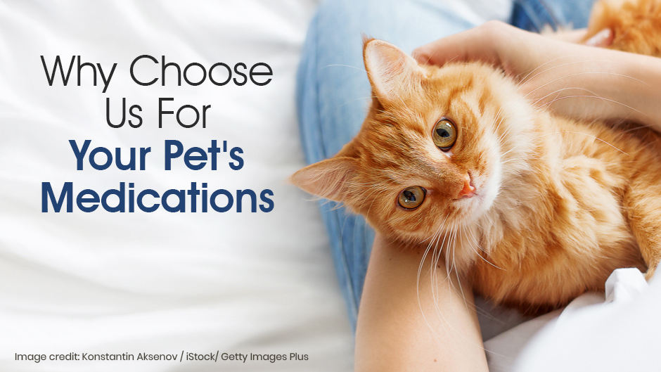 Why Choose Us For Your Pets Medications