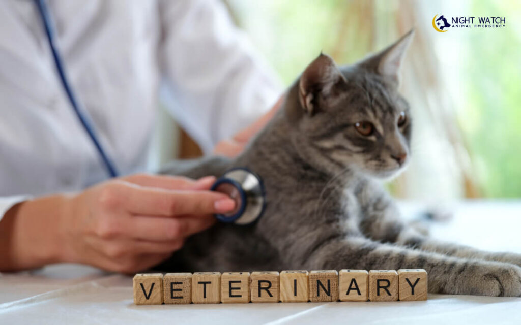 How to Assess Your Pet's Breathing and When to Consult a Vet