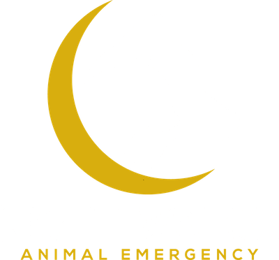 Night-Watch-White-Vertical