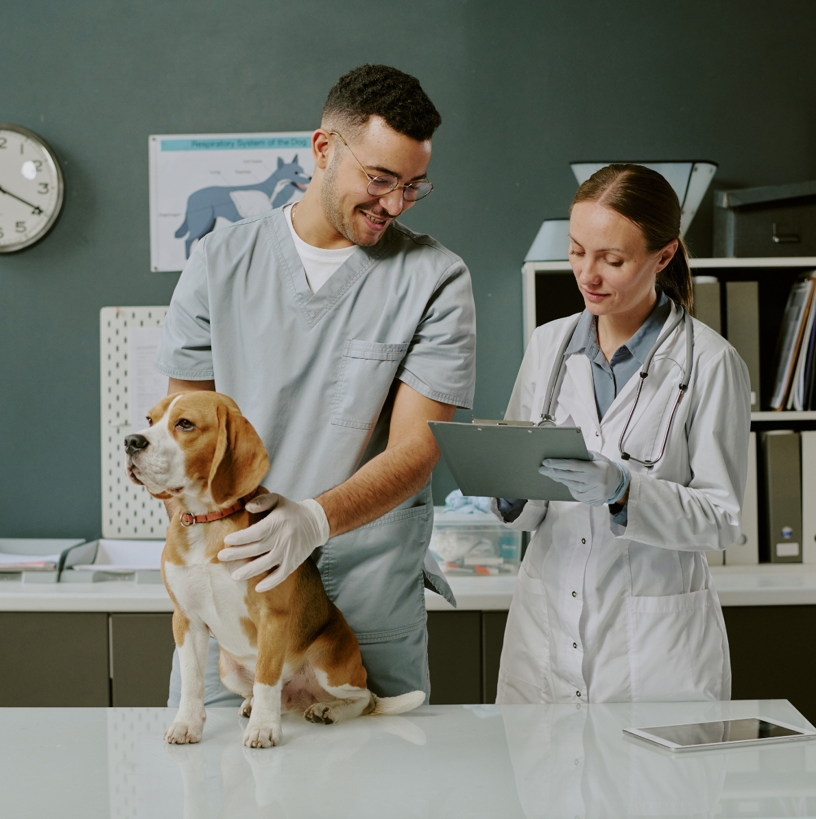 International Health Certificates