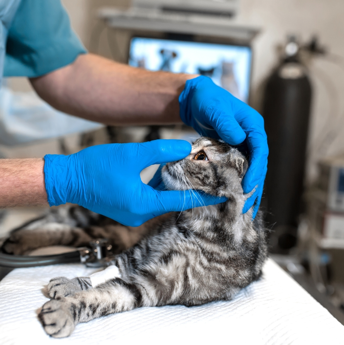 Monday Night Drop-Offs for Surgeries