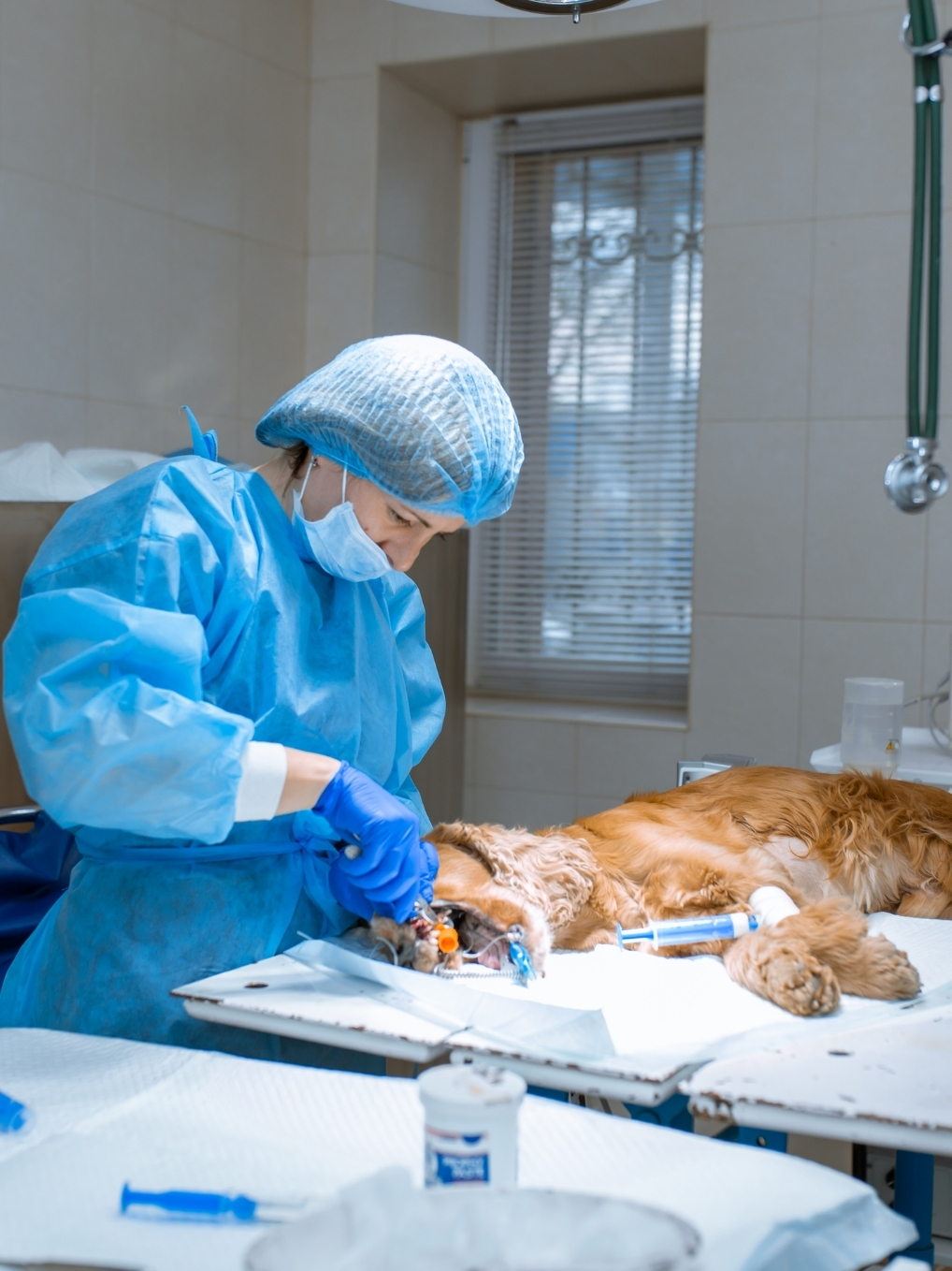 Signs of an Emergency