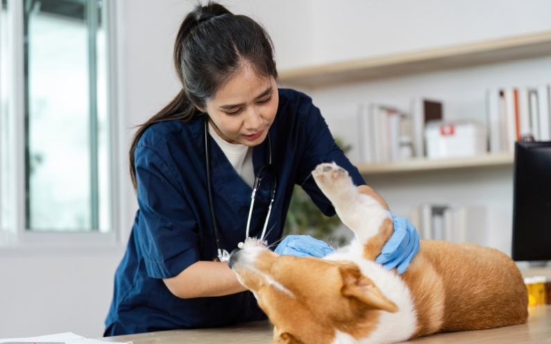 Urgent, Emergency and Critical Care