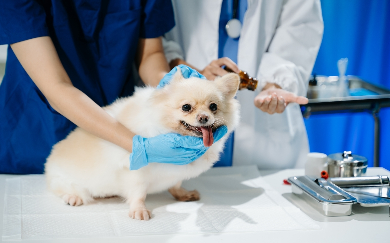 When Moments Count, We’re Here for You.