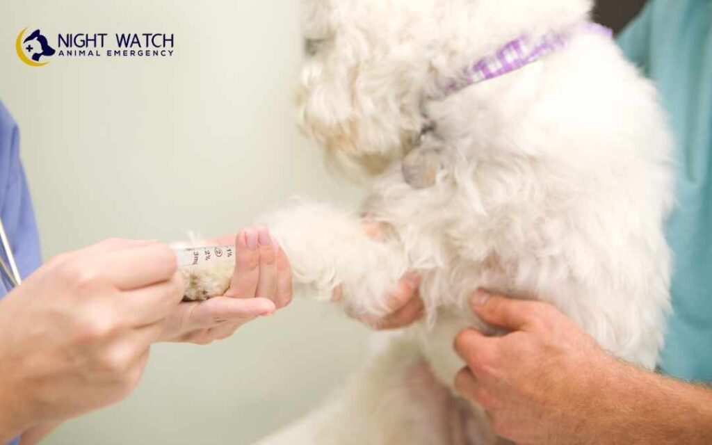 Health Issues Blood Tests Can Reveal