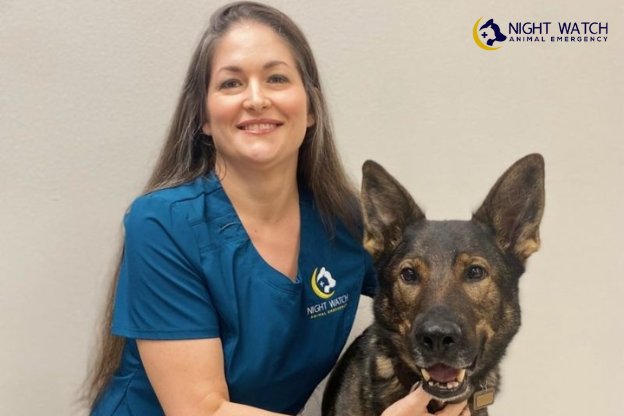 How Can Night Watch Elite Animal Emergency Help?