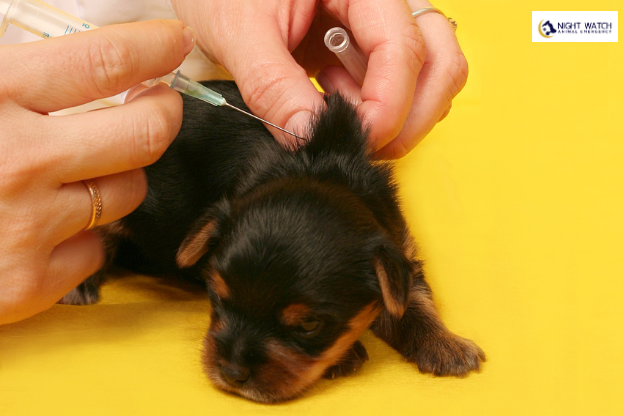 What Is the Recommended Puppy Vaccination Schedule?