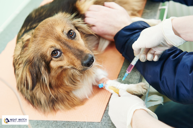 When Are Diagnostics Like Blood Tests Needed?