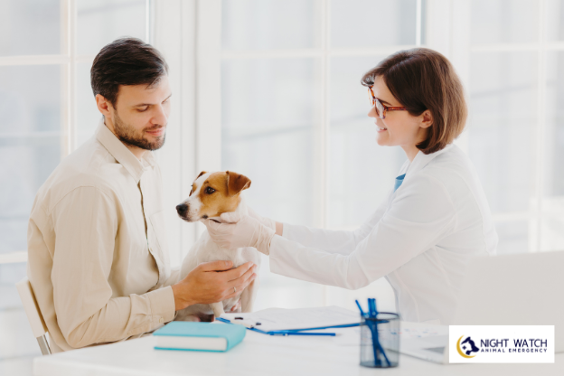 Why a Pet Wellness Membership Plan Makes Financial and Medical Sense