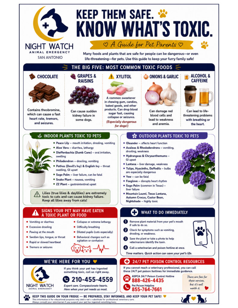Printable Pet Toxin Sheet for Fridge - San Antonio Vet