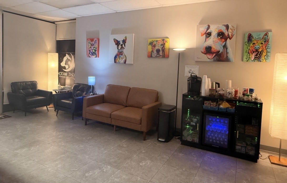 Night Watch Animal Emergency San Antonio Photo of Lobby and Waiting Room