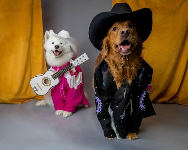 Halloween pets San Antonio